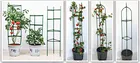 Plant Supports